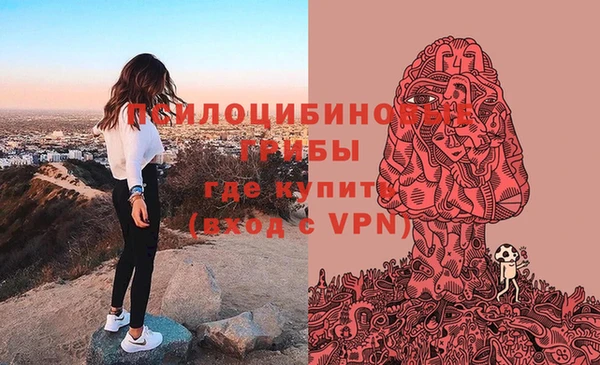 каннабис Алексеевка